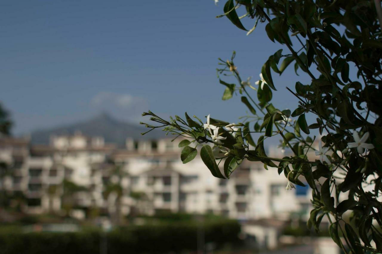 Cozy Apartment Banús Marbella Exterior foto